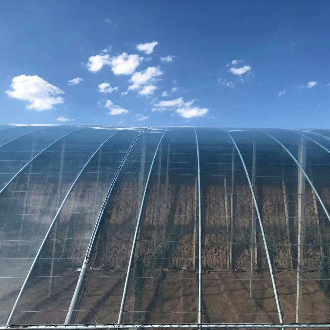 消霧膜